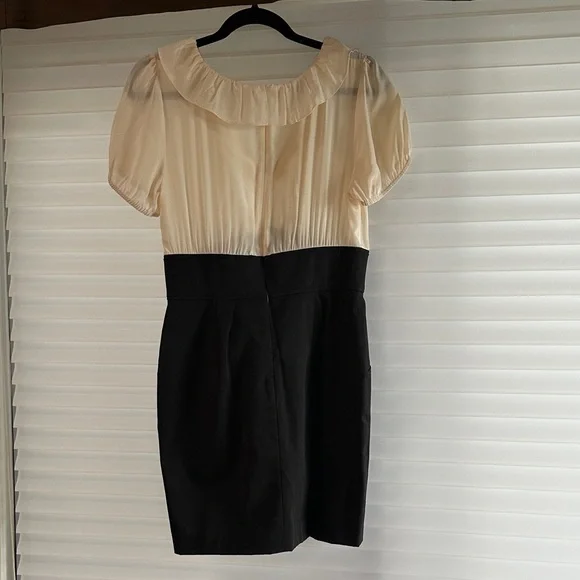 bebe Cream and Black Mini Dress - Picture 3 of 3